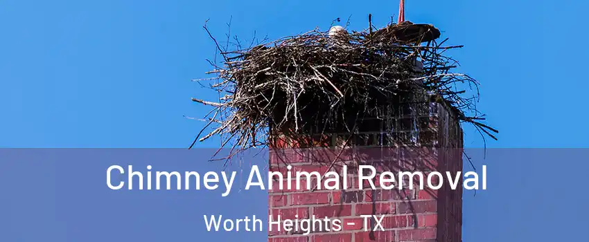 Chimney Animal Removal Worth Heights - TX