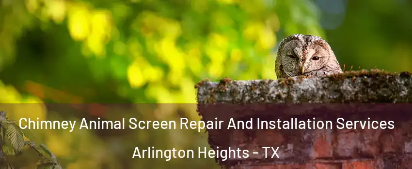 Chimney Animal Screen Repair And Installation Services Arlington Heights - TX