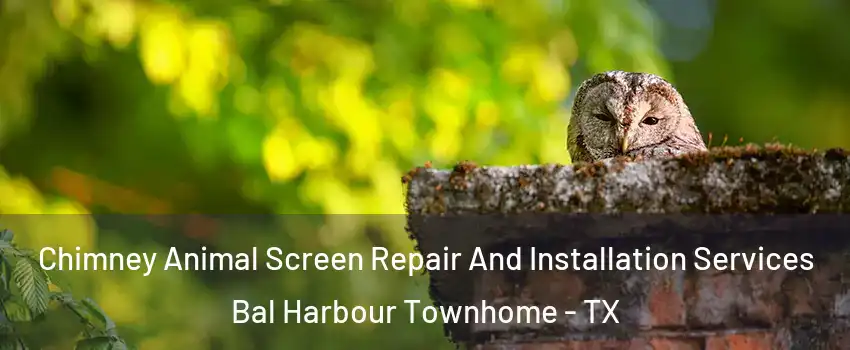 Chimney Animal Screen Repair And Installation Services Bal Harbour Townhome - TX