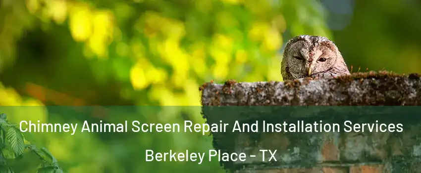 Chimney Animal Screen Repair And Installation Services Berkeley Place - TX