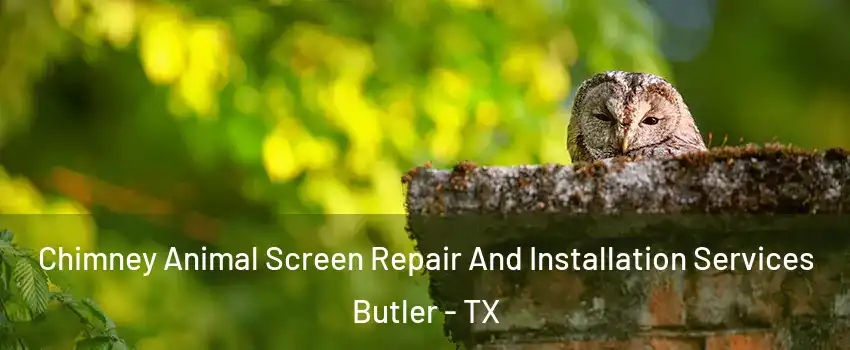 Chimney Animal Screen Repair And Installation Services Butler - TX