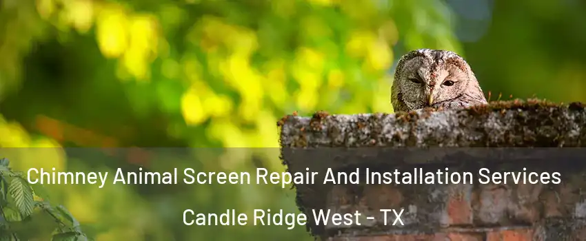 Chimney Animal Screen Repair And Installation Services Candle Ridge West - TX
