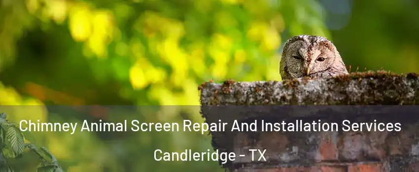 Chimney Animal Screen Repair And Installation Services Candleridge - TX