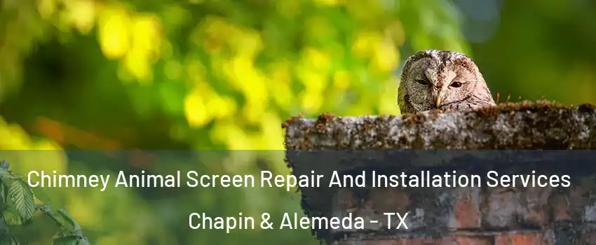Chimney Animal Screen Repair And Installation Services Chapin & Alemeda - TX