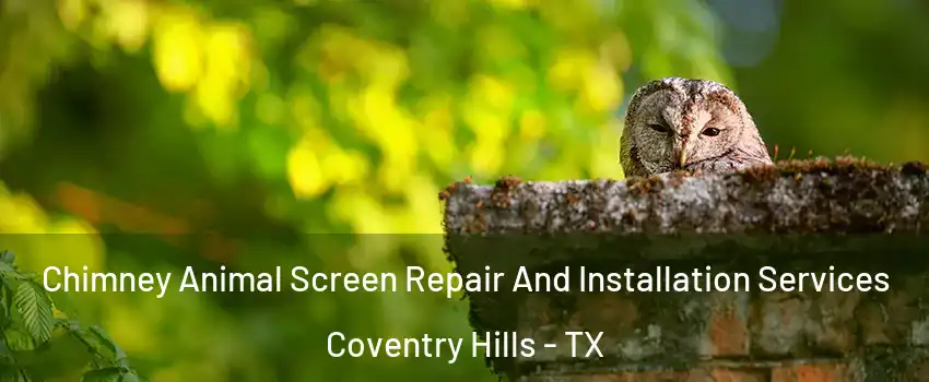 Chimney Animal Screen Repair And Installation Services Coventry Hills - TX