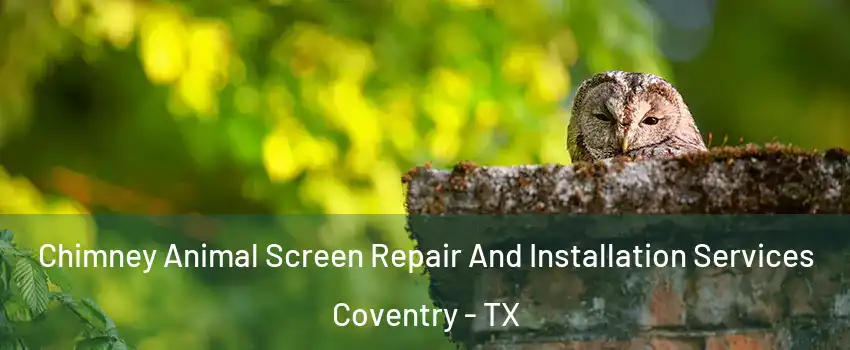 Chimney Animal Screen Repair And Installation Services Coventry - TX