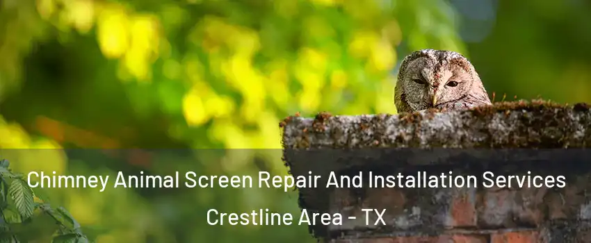 Chimney Animal Screen Repair And Installation Services Crestline Area - TX