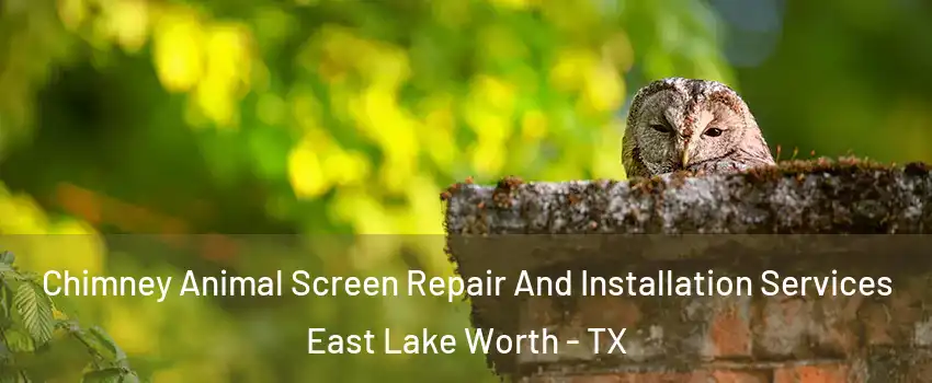 Chimney Animal Screen Repair And Installation Services East Lake Worth - TX