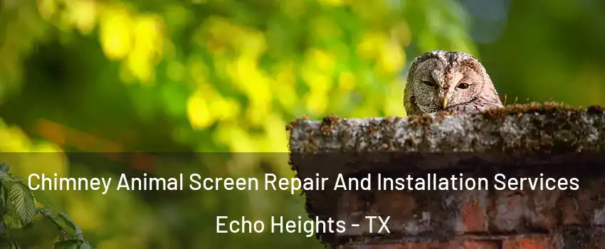 Chimney Animal Screen Repair And Installation Services Echo Heights - TX