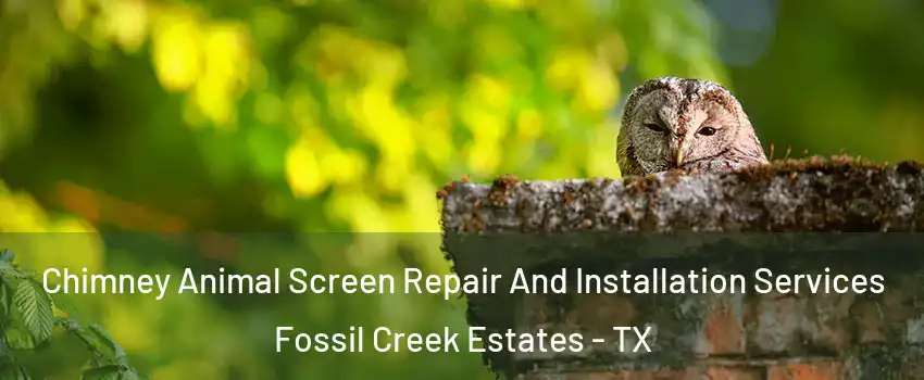 Chimney Animal Screen Repair And Installation Services Fossil Creek Estates - TX