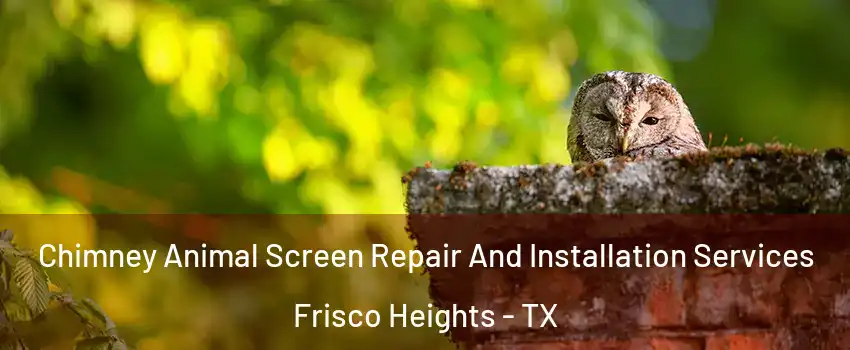 Chimney Animal Screen Repair And Installation Services Frisco Heights - TX