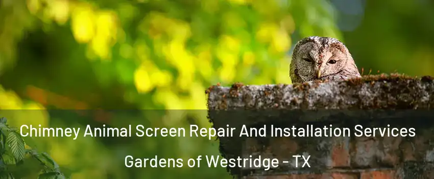 Chimney Animal Screen Repair And Installation Services Gardens of Westridge - TX