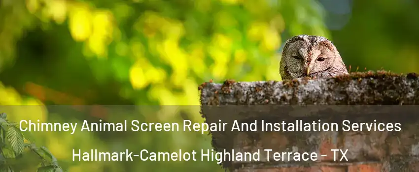 Chimney Animal Screen Repair And Installation Services Hallmark-Camelot Highland Terrace - TX