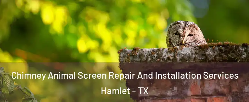 Chimney Animal Screen Repair And Installation Services Hamlet - TX