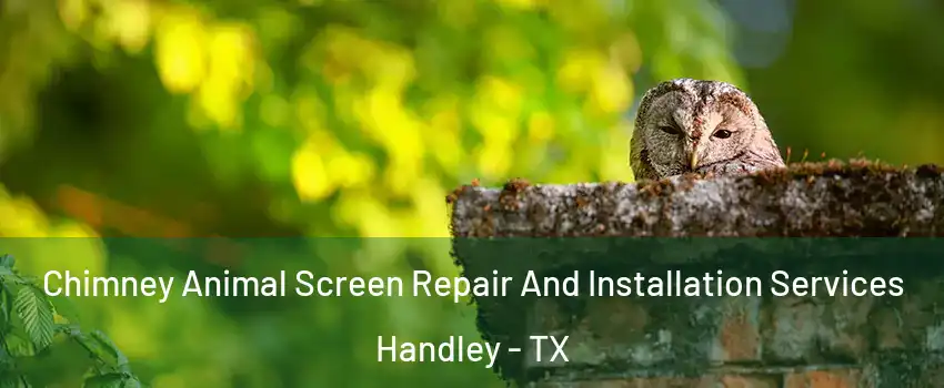 Chimney Animal Screen Repair And Installation Services Handley - TX