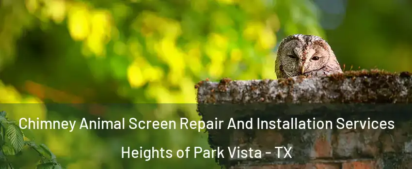 Chimney Animal Screen Repair And Installation Services Heights of Park Vista - TX