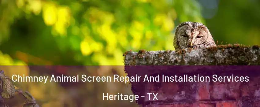 Chimney Animal Screen Repair And Installation Services Heritage - TX