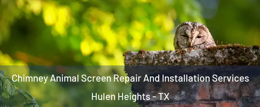 Chimney Animal Screen Repair And Installation Services Hulen Heights - TX