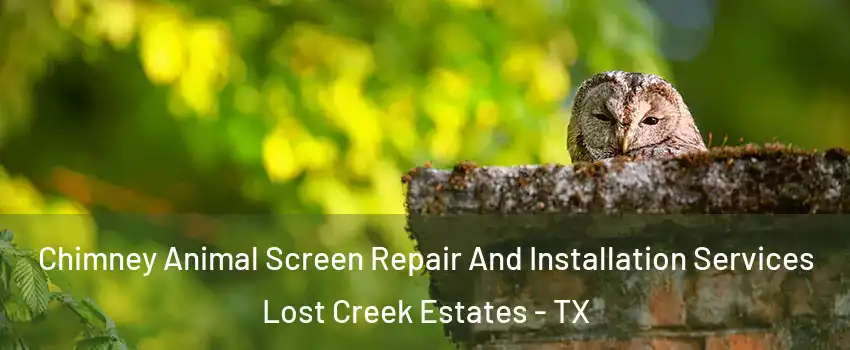 Chimney Animal Screen Repair And Installation Services Lost Creek Estates - TX