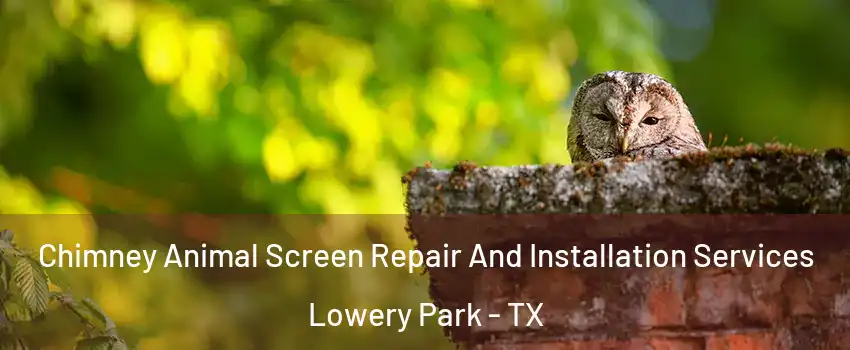 Chimney Animal Screen Repair And Installation Services Lowery Park - TX