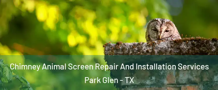 Chimney Animal Screen Repair And Installation Services Park Glen - TX