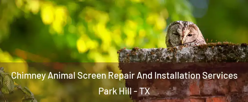 Chimney Animal Screen Repair And Installation Services Park Hill - TX