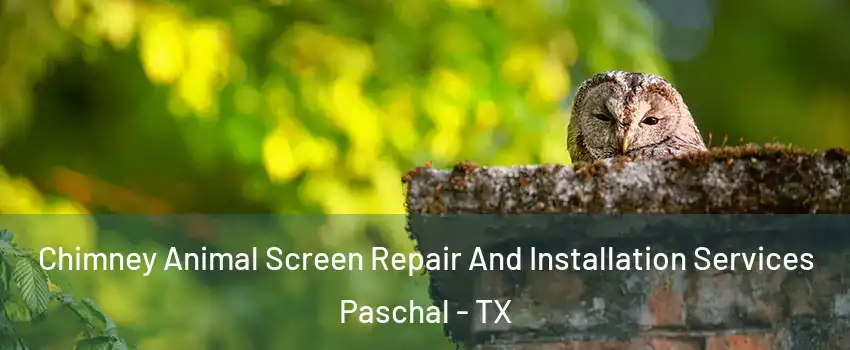 Chimney Animal Screen Repair And Installation Services Paschal - TX