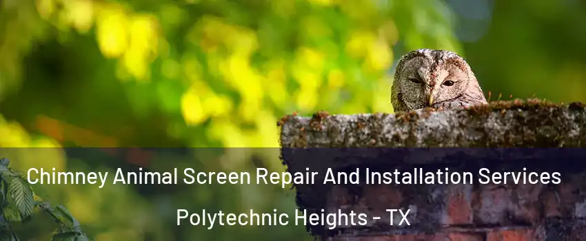Chimney Animal Screen Repair And Installation Services Polytechnic Heights - TX