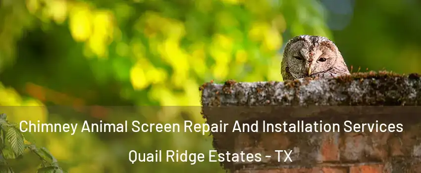 Chimney Animal Screen Repair And Installation Services Quail Ridge Estates - TX
