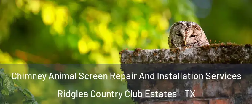 Chimney Animal Screen Repair And Installation Services Ridglea Country Club Estates - TX