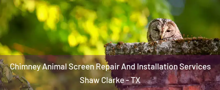 Chimney Animal Screen Repair And Installation Services Shaw Clarke - TX