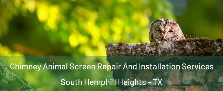 Chimney Animal Screen Repair And Installation Services South Hemphill Heights - TX