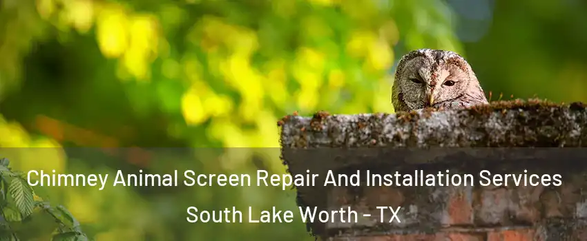 Chimney Animal Screen Repair And Installation Services South Lake Worth - TX