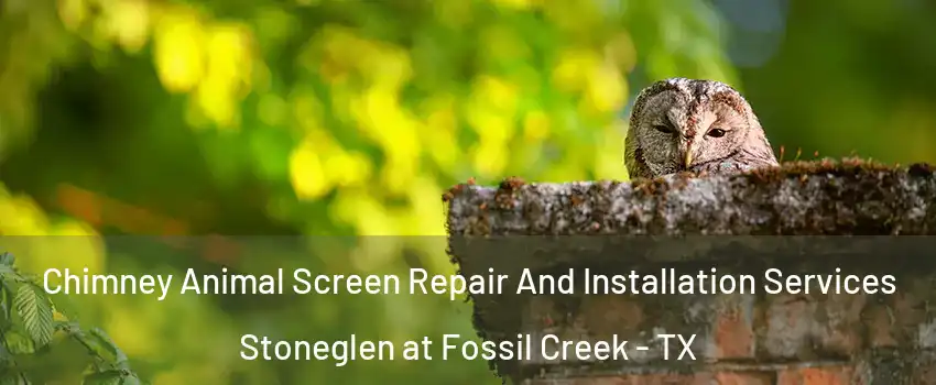 Chimney Animal Screen Repair And Installation Services Stoneglen at Fossil Creek - TX