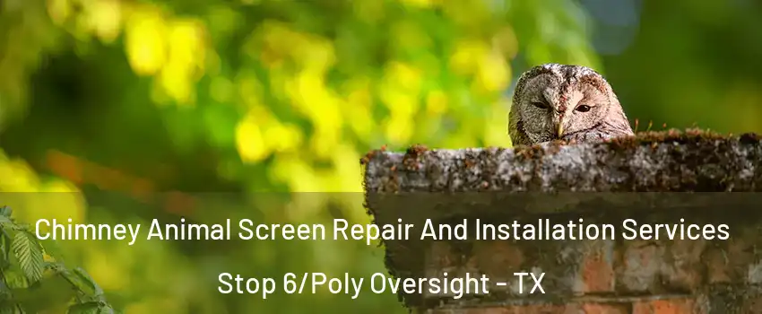 Chimney Animal Screen Repair And Installation Services Stop 6/Poly Oversight - TX