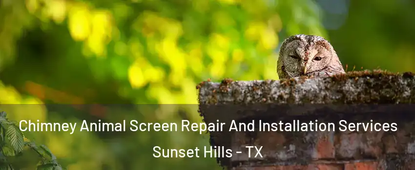 Chimney Animal Screen Repair And Installation Services Sunset Hills - TX