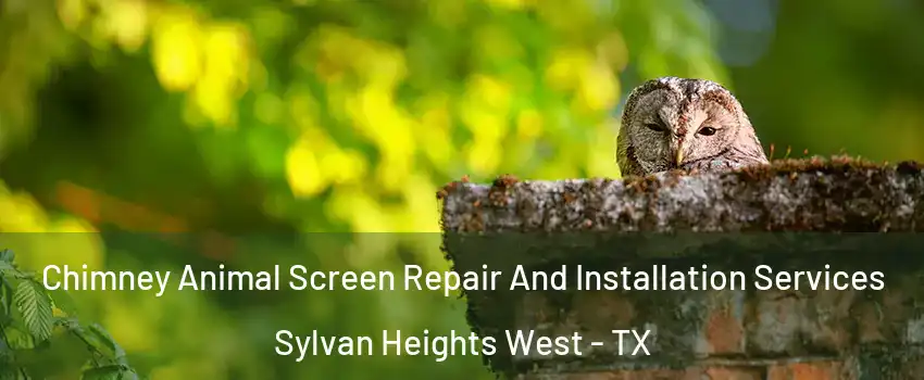 Chimney Animal Screen Repair And Installation Services Sylvan Heights West - TX