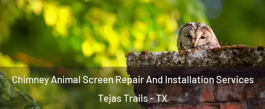 Chimney Animal Screen Repair And Installation Services Tejas Trails - TX