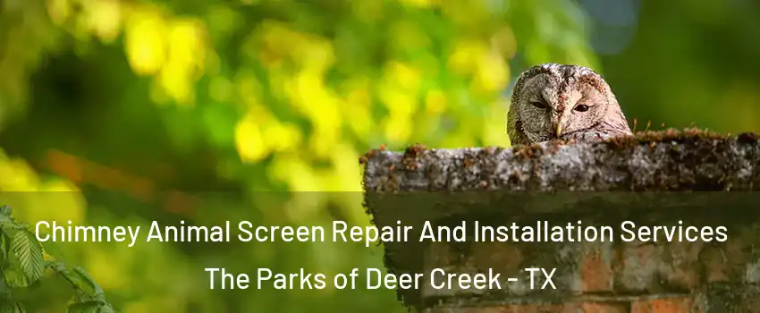 Chimney Animal Screen Repair And Installation Services The Parks of Deer Creek - TX