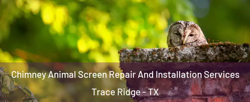 Chimney Animal Screen Repair And Installation Services Trace Ridge - TX