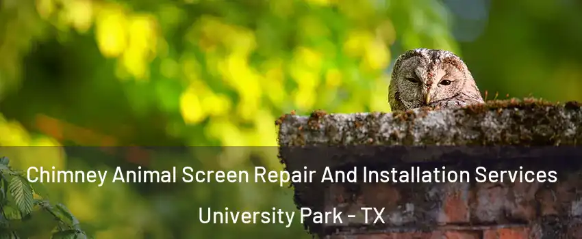 Chimney Animal Screen Repair And Installation Services University Park - TX