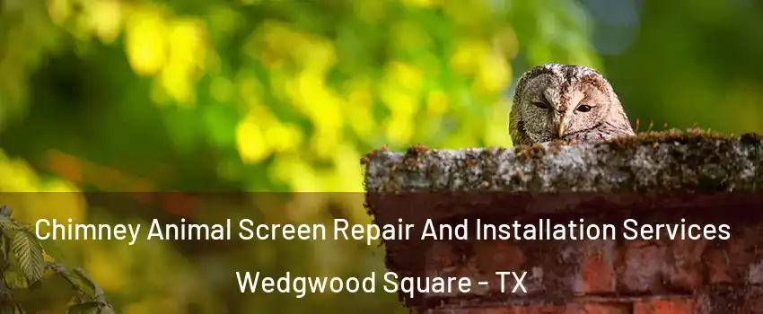 Chimney Animal Screen Repair And Installation Services Wedgwood Square - TX