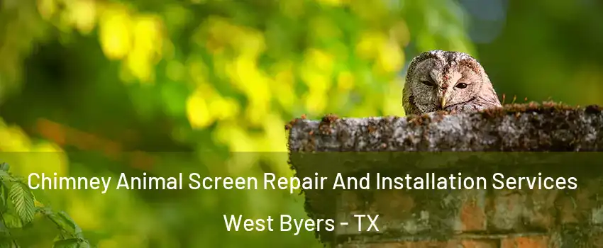 Chimney Animal Screen Repair And Installation Services West Byers - TX