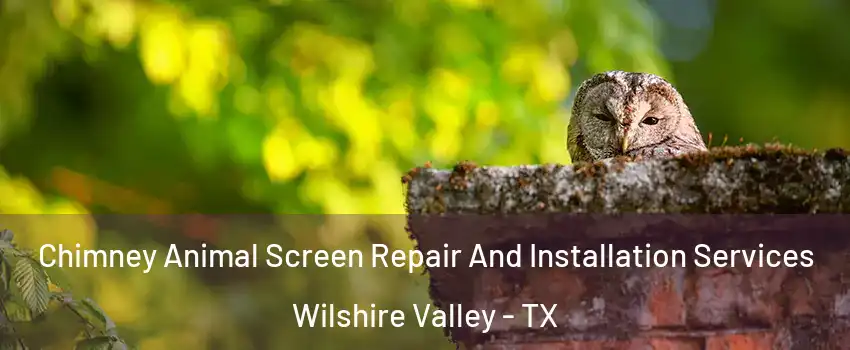 Chimney Animal Screen Repair And Installation Services Wilshire Valley - TX