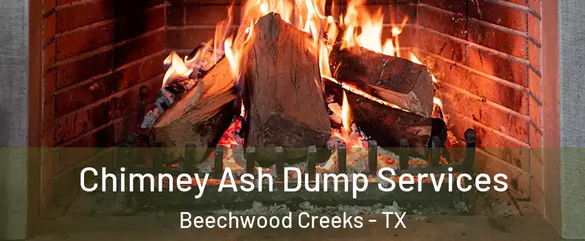 Chimney Ash Dump Services Beechwood Creeks - TX