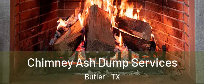 Chimney Ash Dump Services Butler - TX
