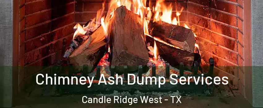 Chimney Ash Dump Services Candle Ridge West - TX