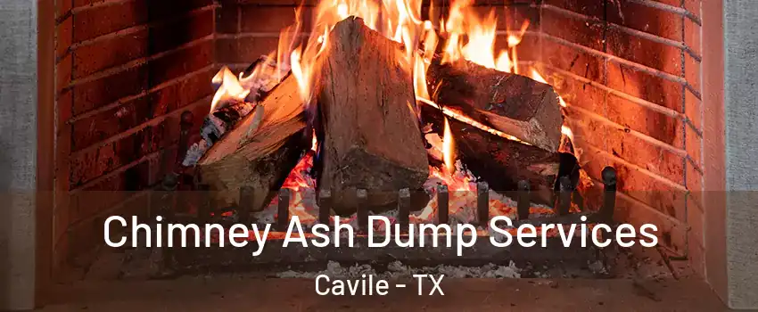 Chimney Ash Dump Services Cavile - TX