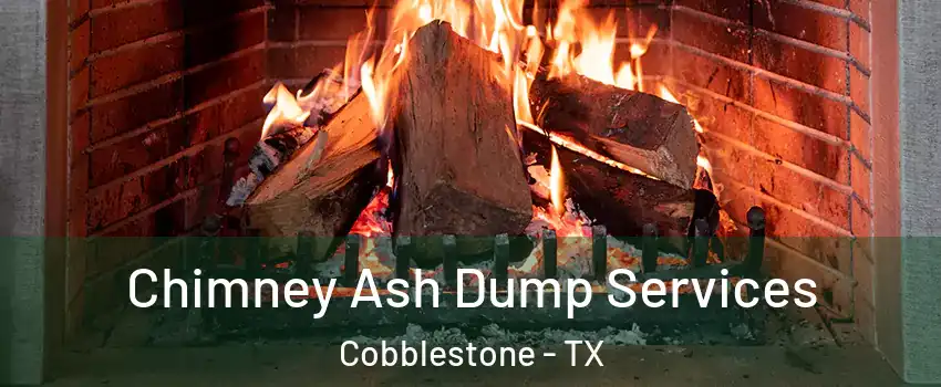 Chimney Ash Dump Services Cobblestone - TX