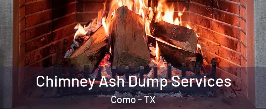 Chimney Ash Dump Services Como - TX